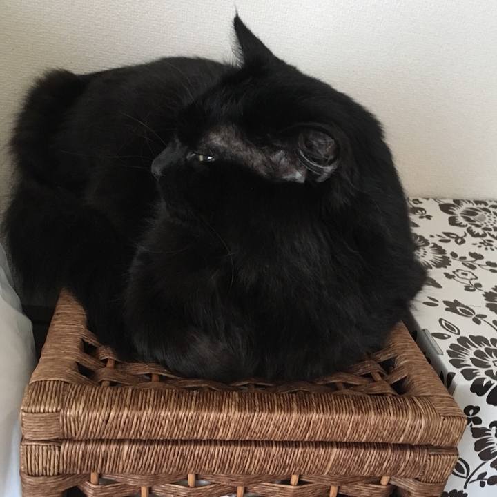 91699f3a 63b7 4ab2 8d6e b5a82a330e11 1529544245553