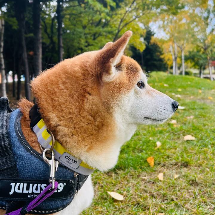 916a0e60 93f9 4f94 a9e4 2c62158079d5 1761446417754