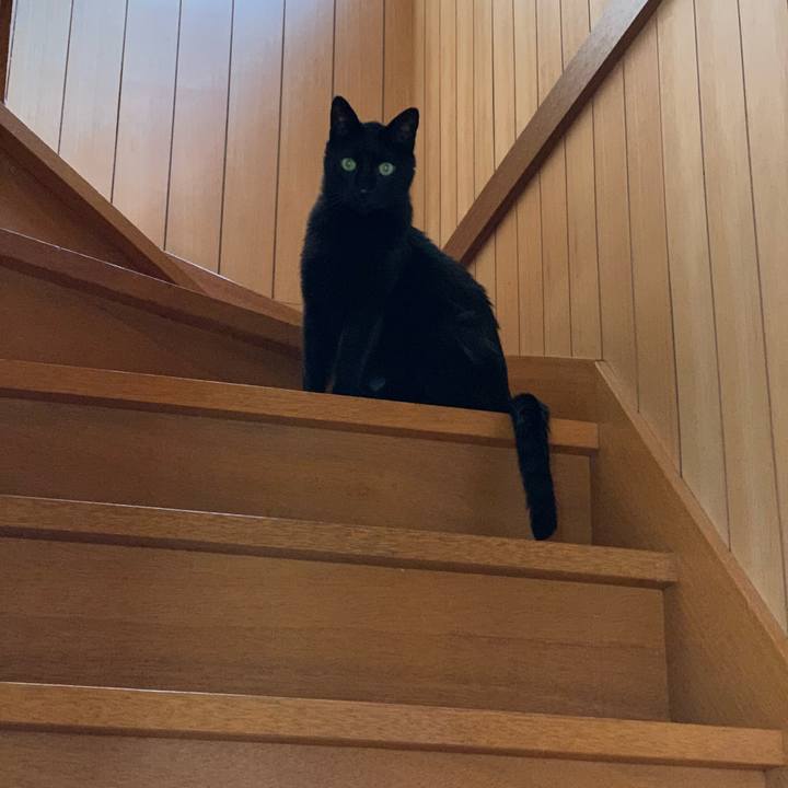 916a36be 3536 4909 a90e 7ff2853eb553 1589244523391