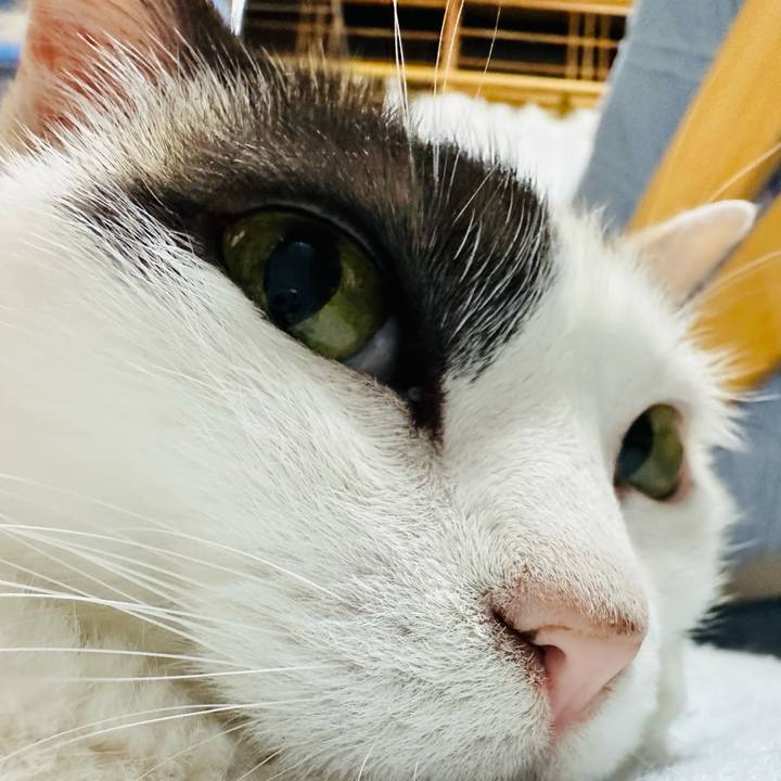 916a40df 6f7b 4967 8686 2e7cf0629f49 1688781134898