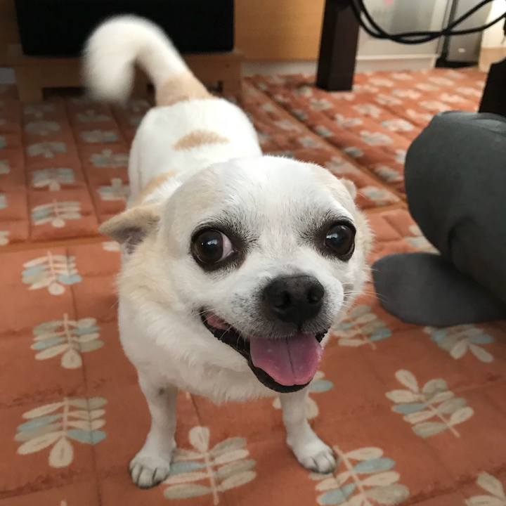 916aa4bd 3040 47cc 9405 69949612327c 1531480251527