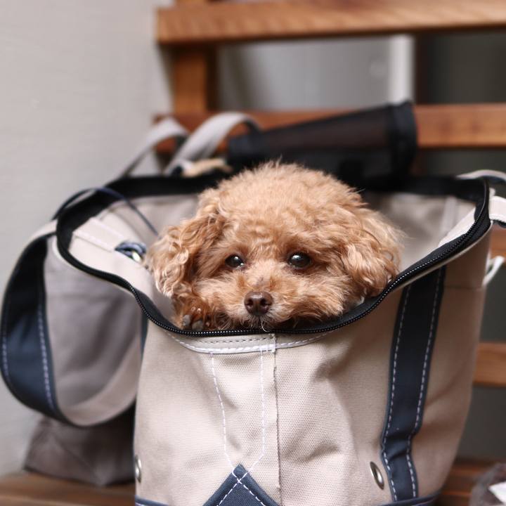 916ab7c0 5a3c 4e64 84a5 e7483da3cde4 1604843128096