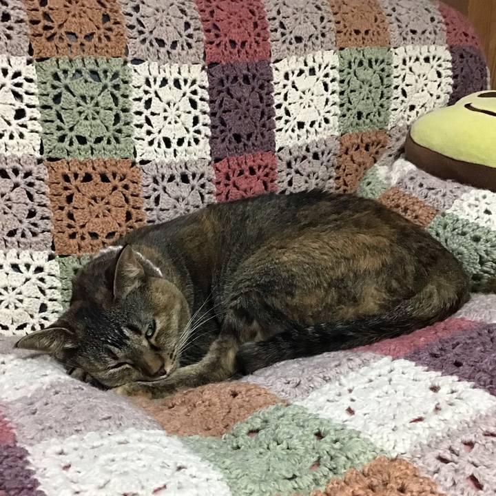 916addca 51f5 4af9 bf19 54447e181f91 1723628827850