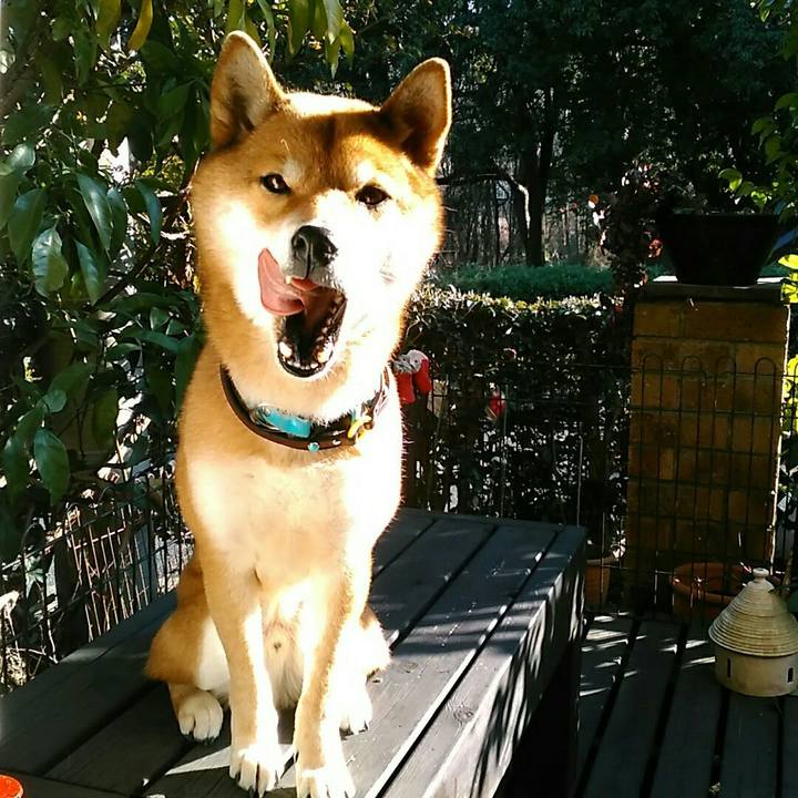 916b3446 a757 41fb b5d6 1218b0c3ff37 1547704492041