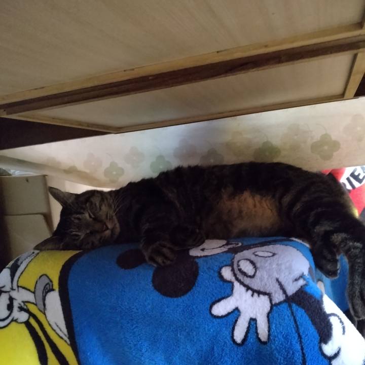 916b5107 b911 48da b3c0 f2f67c0681c4 1665702864472