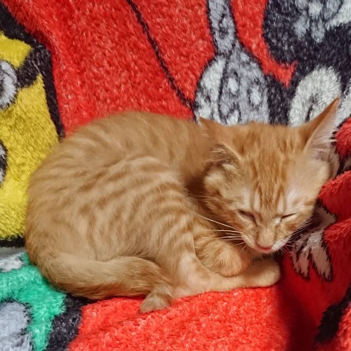 916b5451 5be0 459c a457 34a4f5d8a192 1631441940777