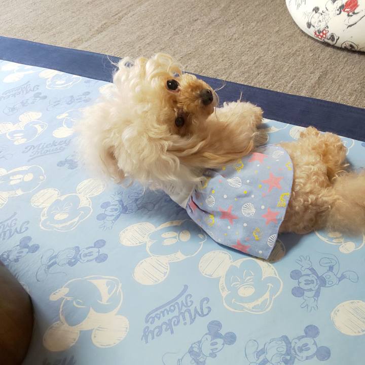 916b7bd5 78e3 4d8a 86c6 dad4ac3a8a25 1624621184113