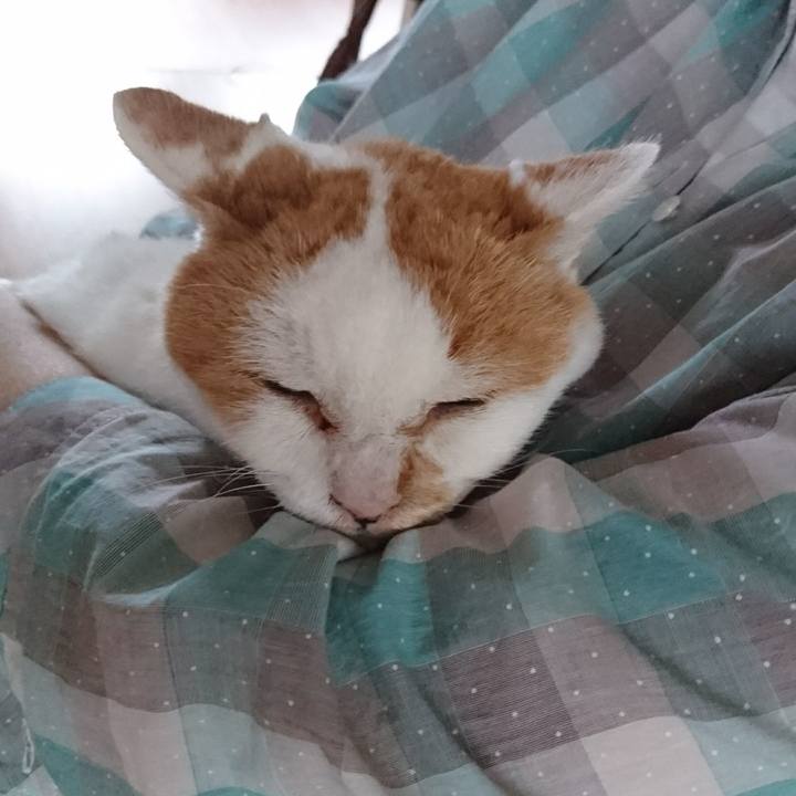 916bc1b7 e4a2 40ac 9154 e15cf0da9106 1660959548475