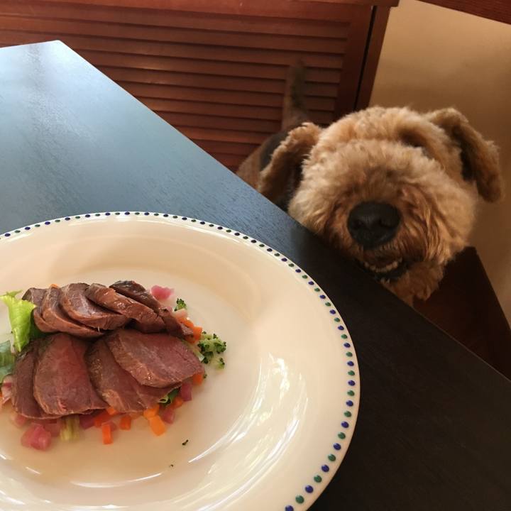 916bcd09 5902 45c4 bbc7 9e3941f7306b 1533477573861