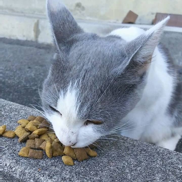 916bfca3 6e5c 45ba ac4d 4fce17596c44 1534929894497