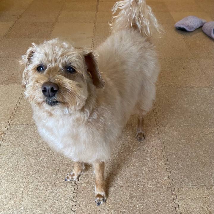 916c4542 d020 40f2 8f04 15665275dc84 1619242964402