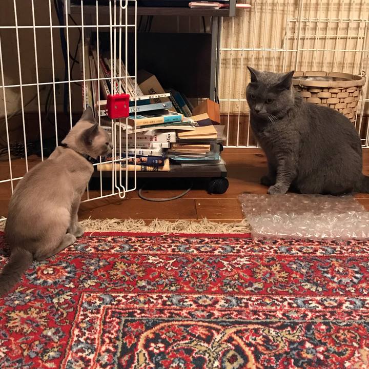 916c5156 baf7 44ed 95d2 9fbda1f7a545 1534164387436