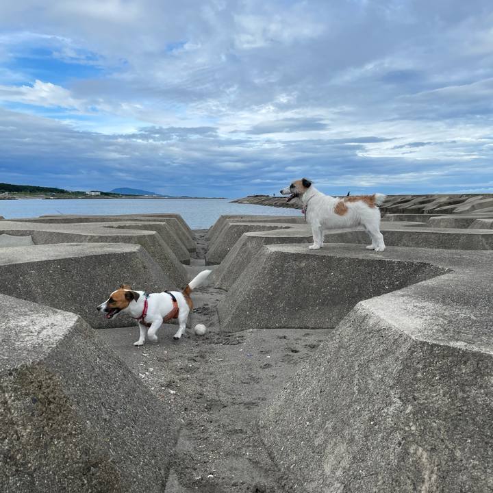 916ca1cb b300 422a b195 7673501f3566 1630713649872