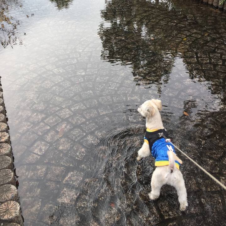 916cc148 14e8 425c ad43 508f10c9c0bc 1544161395576