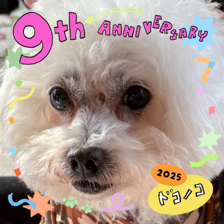 916cc438 e3d4 450d 882f 3c4843a6c117 1749092257429