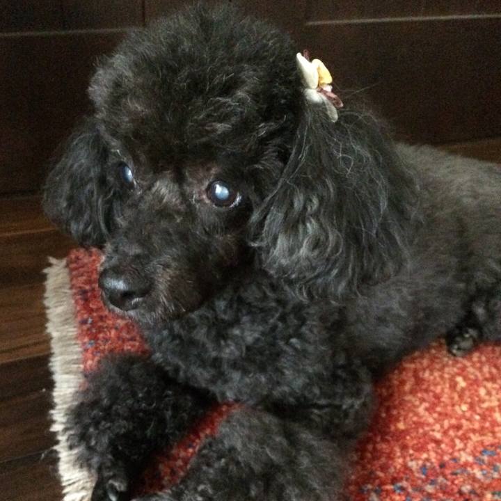 916cfdcd b44e 4a3a 9601 1a7676936edd 1537770278498