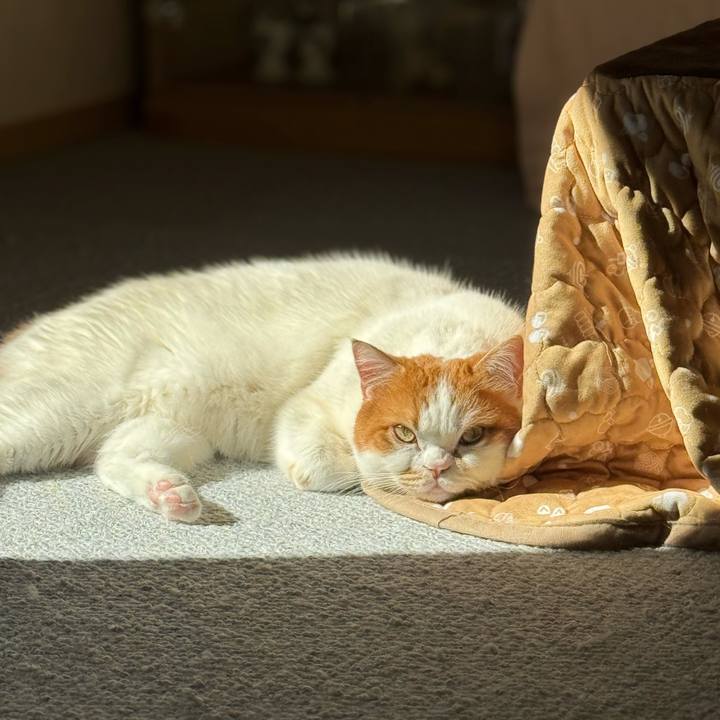 916d60b2 01e7 4ef3 a018 2240ee311060 1771209685400