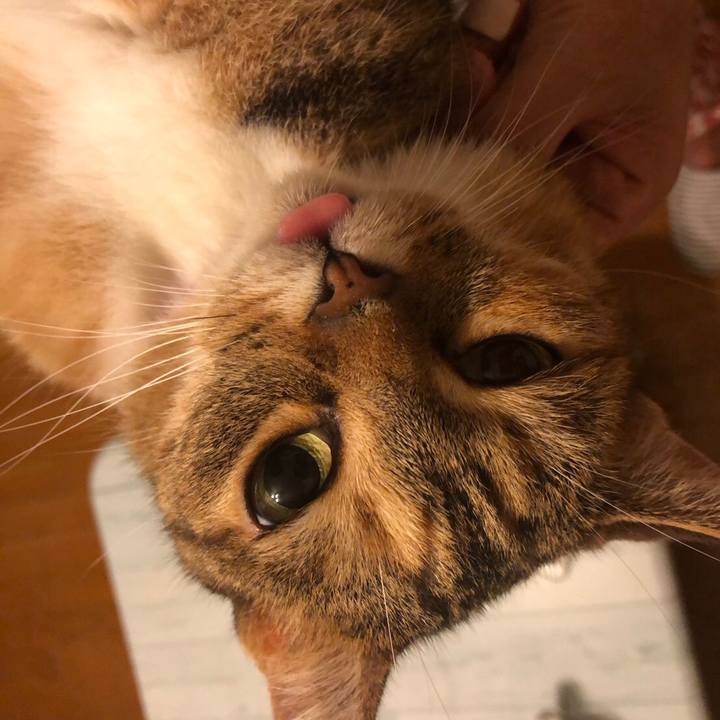 916d6e54 eee3 4edc a88a 188b93d60430 1565392059826