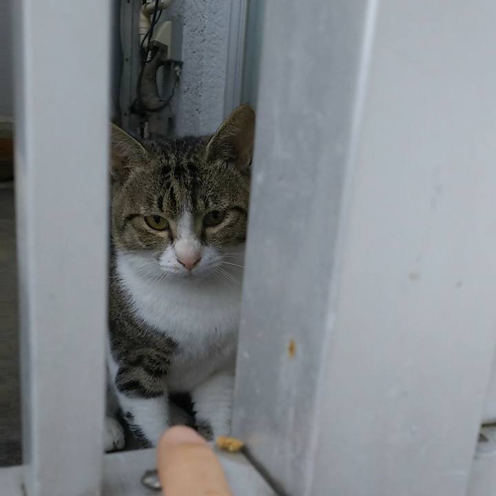 916d7808 7514 4b7c ab8b cce7b756e38f 1540630138360