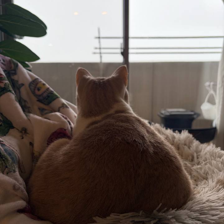 916df5b6 6479 46be 8db9 739b2c277b12 1770506421570