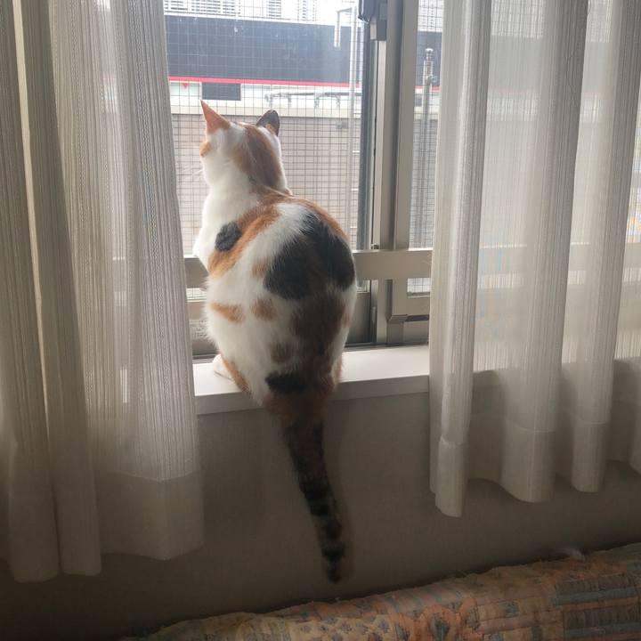 916df904 5352 4745 b13f 22ca067243b5 1599350306699