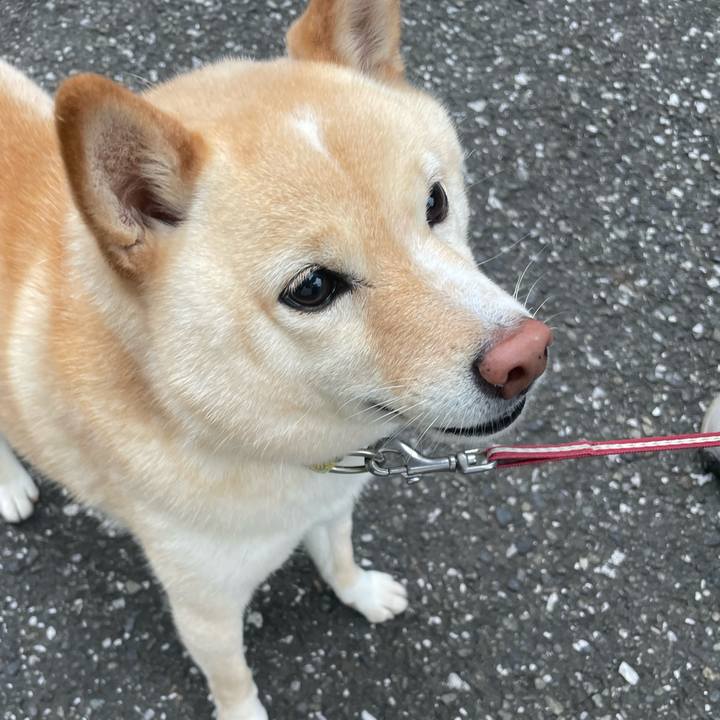 916dfcbb 1367 4d9e 9d68 0277e07af7c0 1685491381204