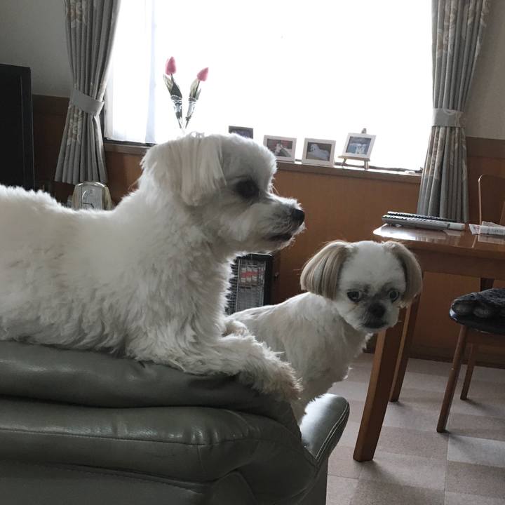 916e10b3 6b1f 4981 a278 520fc3ed3129 1580902808663