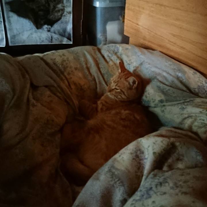 916e2309 0b07 436c 8fd7 f97208c29b1f 1661647638255