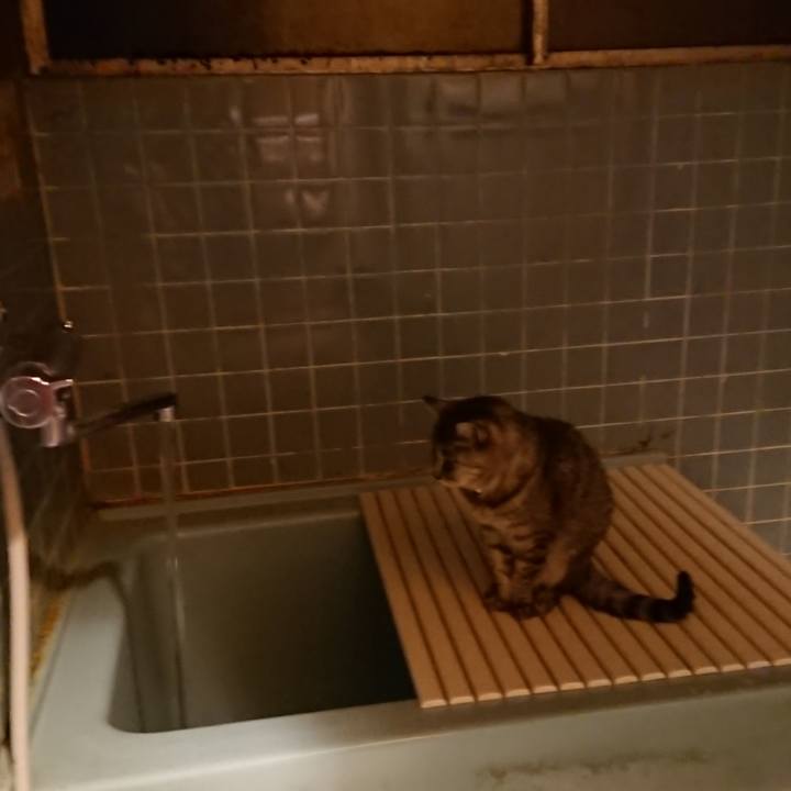 916e2f26 0eca 4ec8 847c e22620a47970 1573289793717