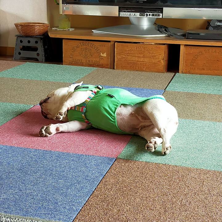 916e35c7 bf2c 4bdc b6f9 5512e37f2ac6 1652058969822