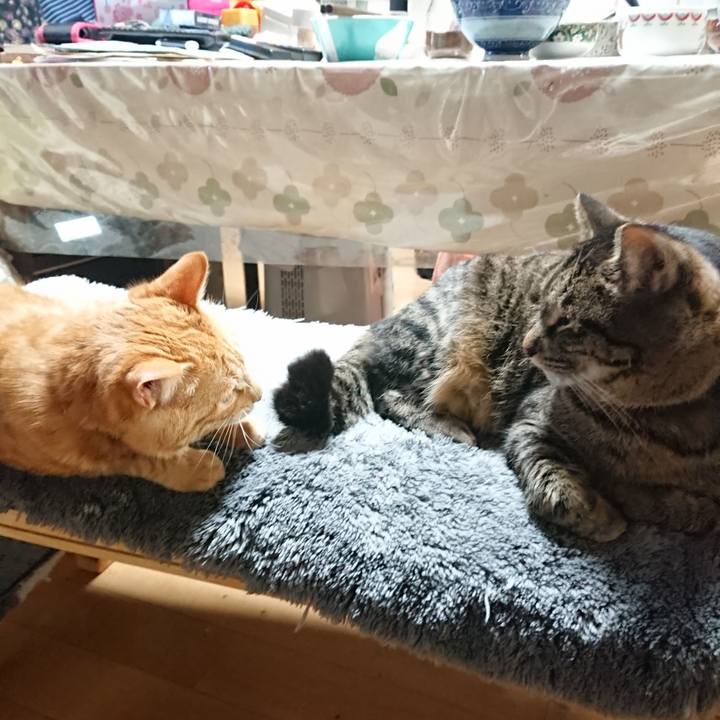 916e8437 a0af 4400 ba20 7ee9891070cf 1644146277992