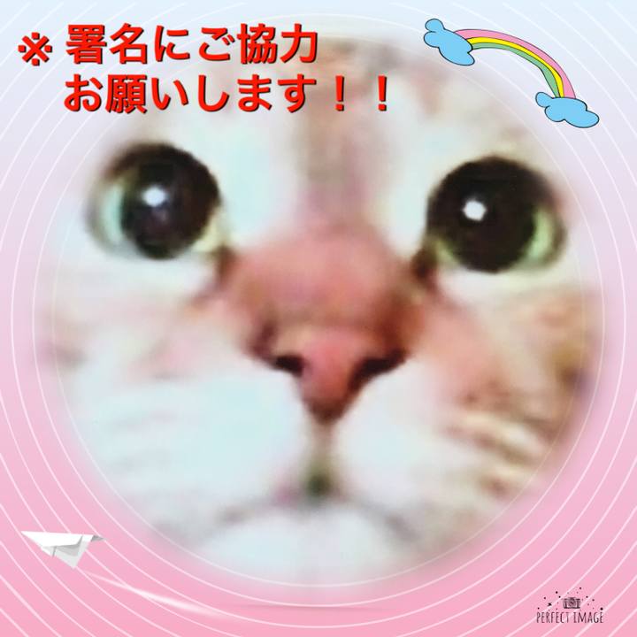 916e84be 28bc 4d89 89b9 120692190bdf 1549073073795