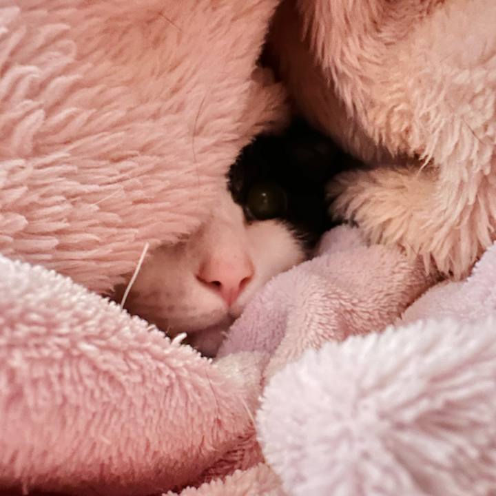 916e93ef aae4 408a 8d3e 2a1671524276 1680225090690