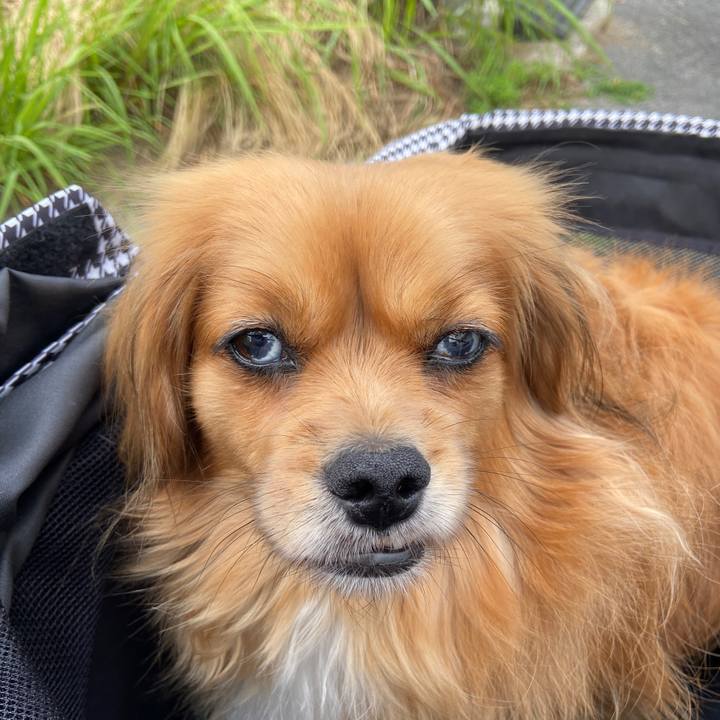 916edec7 552c 4a17 b5ec 9256ecb8d621 1624397442990