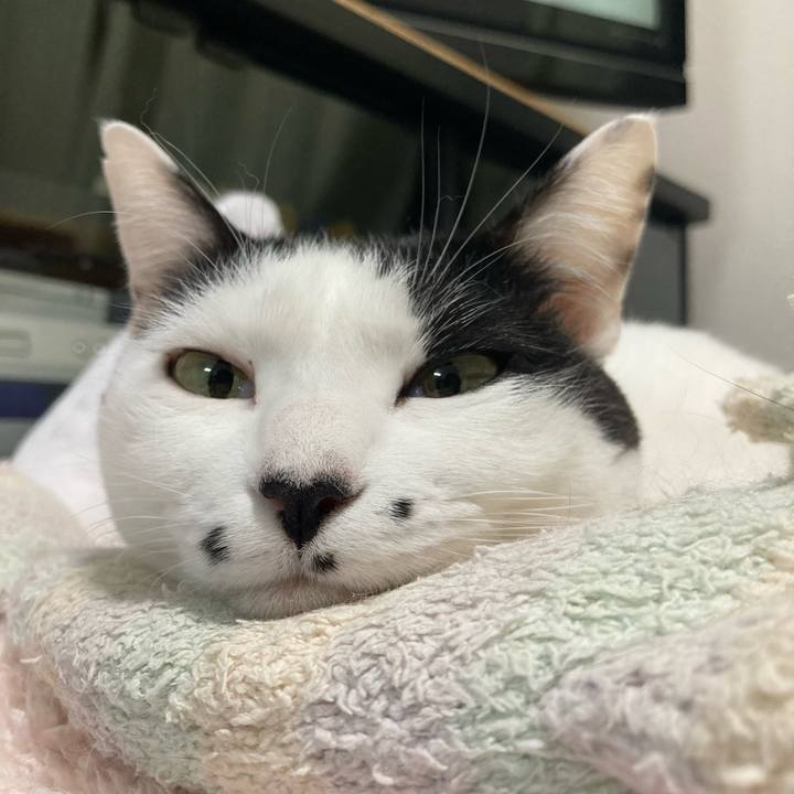 916f1068 6933 4901 a588 7490c2e33817 1765111301520