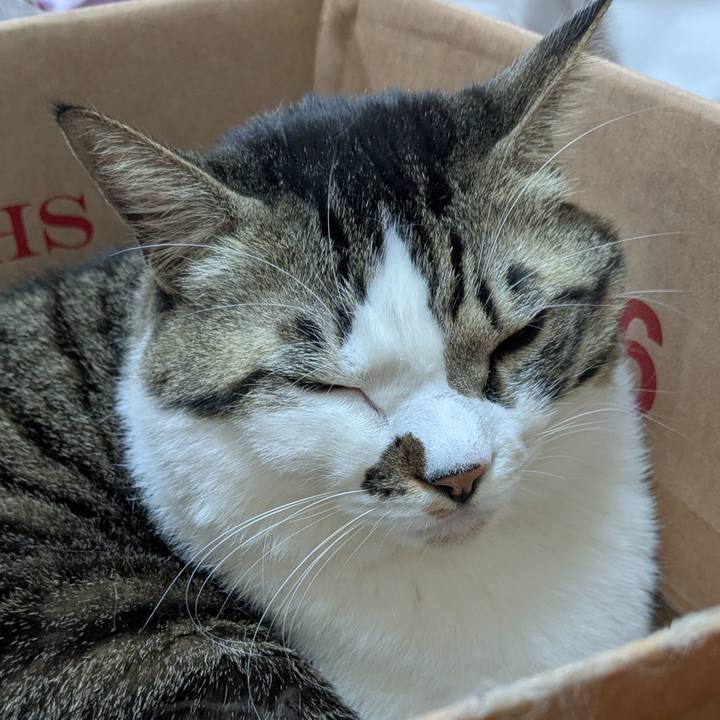 916f1718 6952 430f b3ef 813eedecbef3 1766783647037