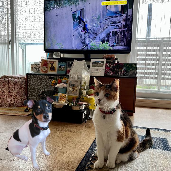 916f18c0 2a4e 463e abfc 9bc567febcb8 1686262014244