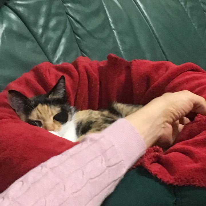 916f4045 488e 4287 9f22 f2364a0e937f 1519129338436