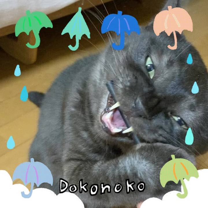 916fa3b4 e72d 4459 aa99 f0b32df38782 1718130034786