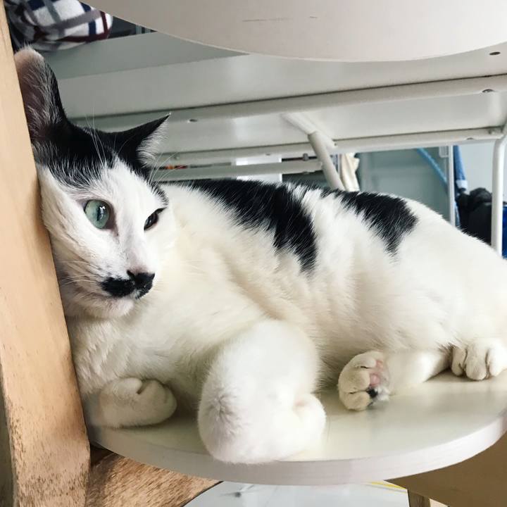 916fa97e 223d 4423 aa14 24498509f1ff 1515831758026