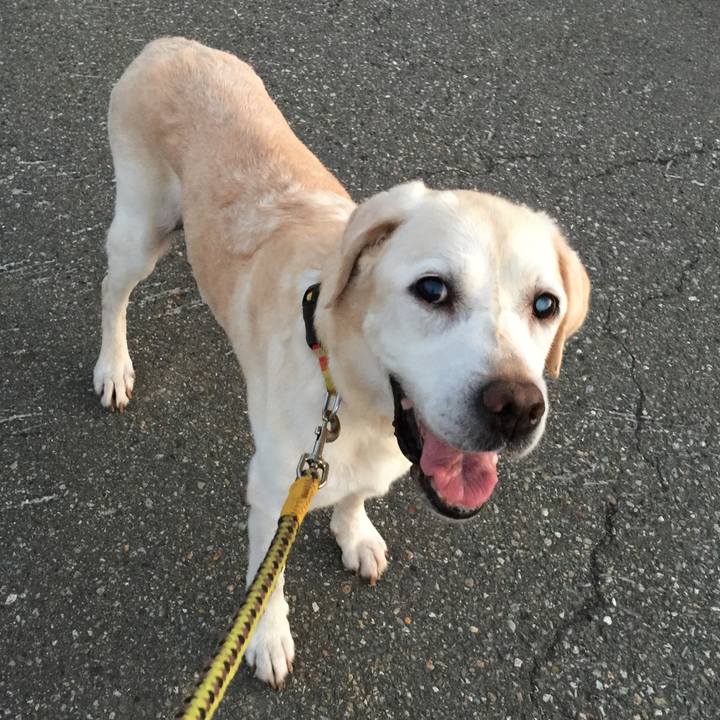 916fafd3 0c76 43e3 ba2b 98b32e041f91 1532951174758