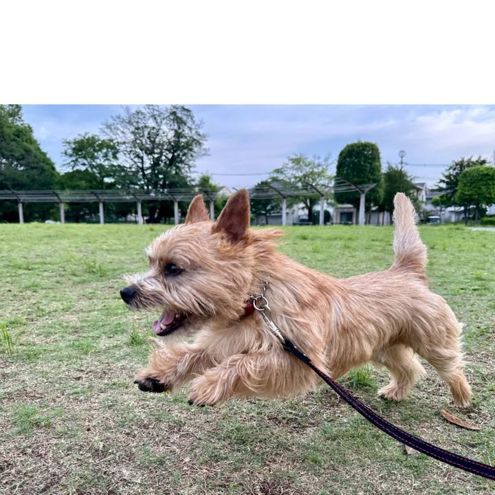 916ff031 0698 4629 8631 7cd65951a24e 1749180549707