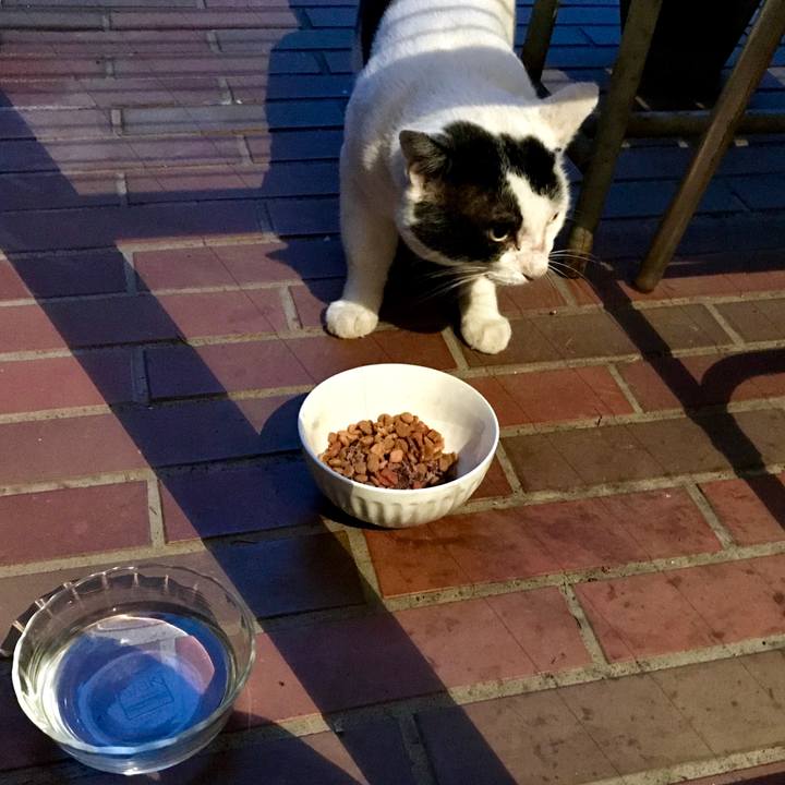 91700126 8745 4ba5 9982 a37c2a77cff5 1566382146725