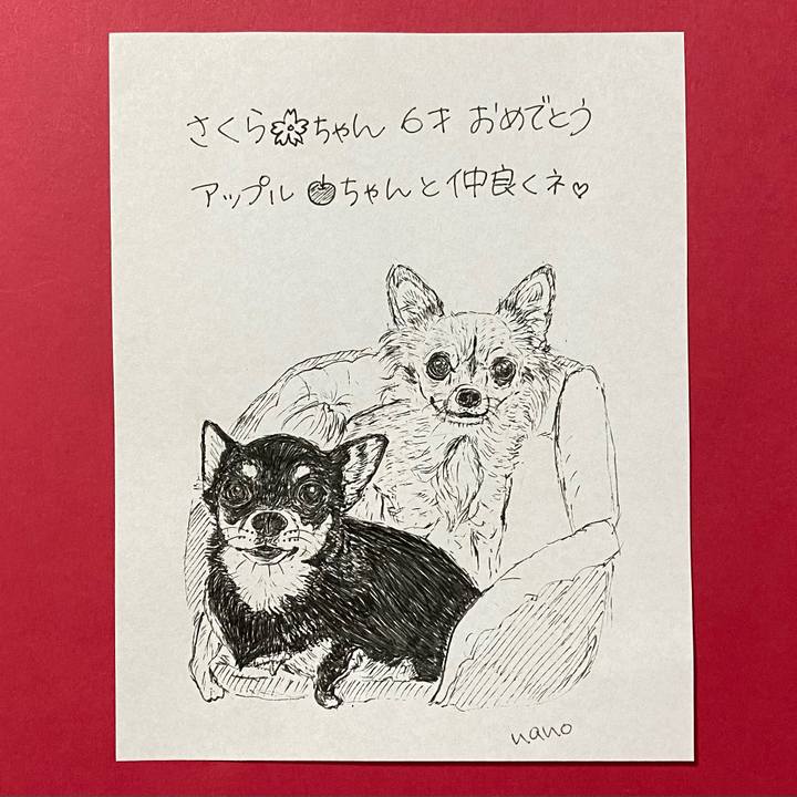 917007ad 748e 46b9 8a2b 0319c30ef8eb 1628578516719