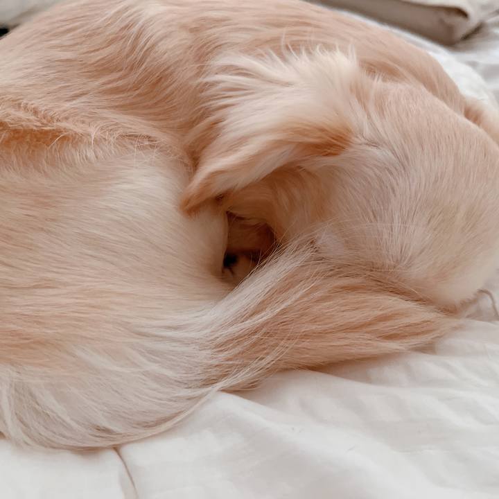 91708792 a043 4938 bb5a 465553ab2d05 1679454847115