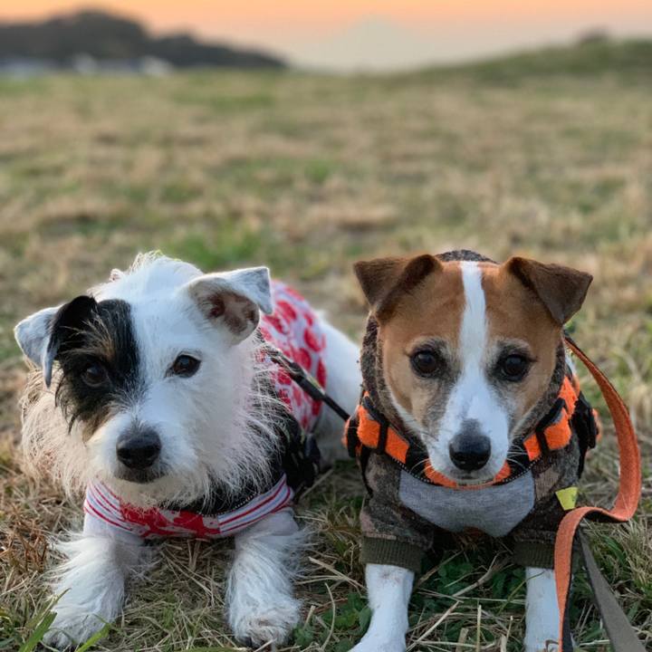 9170a62c 653a 41ed b4eb e782fbc7e908 1605601187841