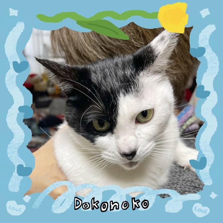 9170aa56 fdf1 476f b80a 45eb3de623f5 1772145739254