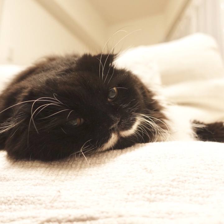 9170b730 54aa 487d bf84 63b4530c7777 1546399454775