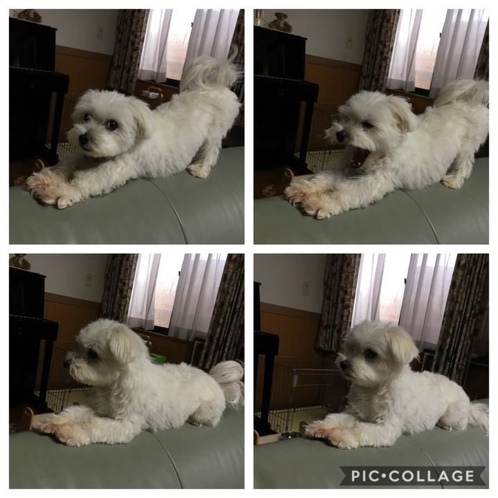 9170c700 0d77 41b4 99a4 5ee6e3375e45 1562748620252