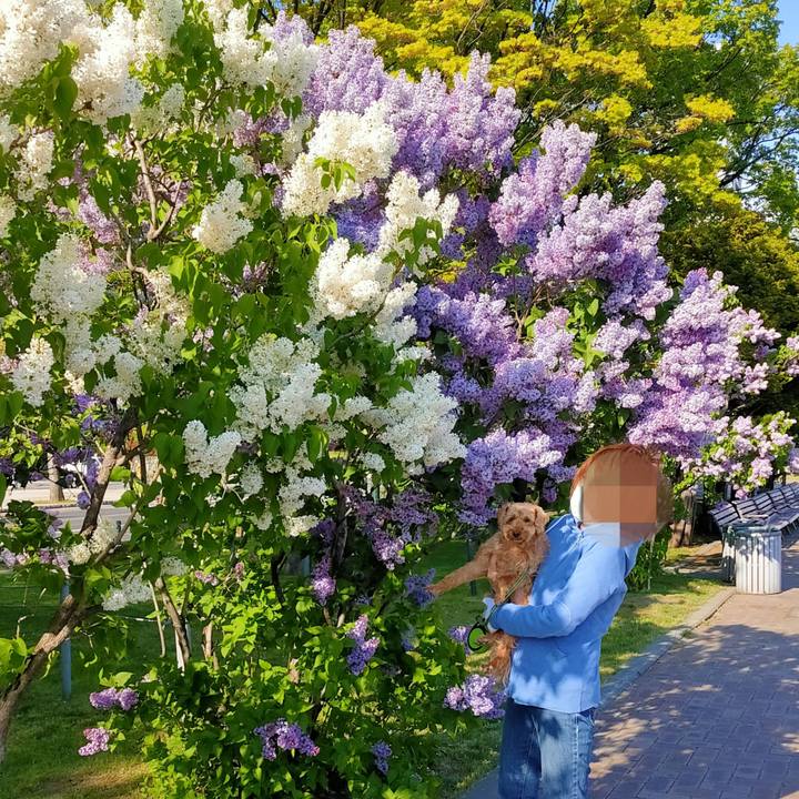 917113b2 0704 4991 83c8 ee32fcd80da5 1590225287614